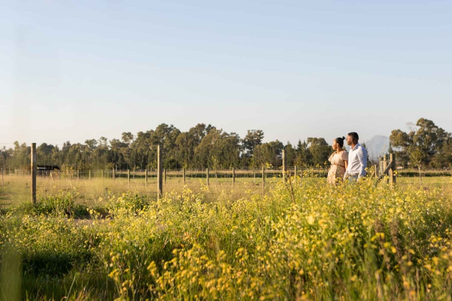 0 Bedroom Property for Sale in Paarl Valleij Lifestyle Estate Western Cape